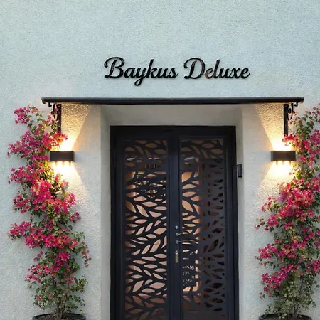 Baykus Deluxe Villa *