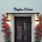 Baykus Deluxe Villa *